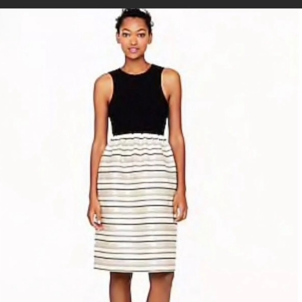 J. Crew Fit and Flare Dress with Pockets